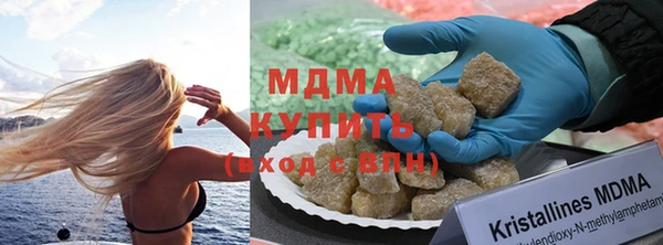 индика Козельск