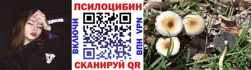 Купить где Орск Псилоцибиновые грибы GOLDEN TEACHER